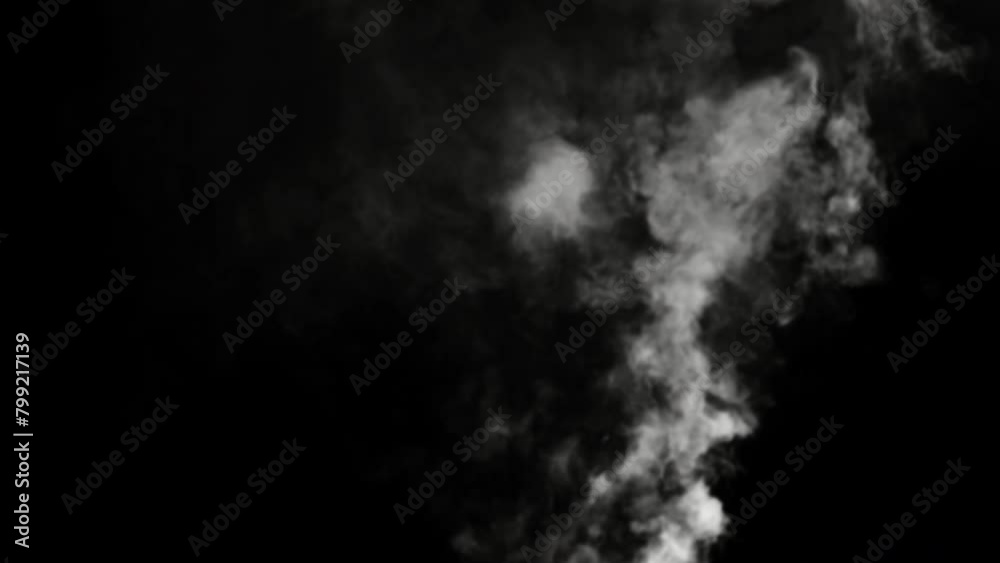 This stock motion graphics video shows clouds of white smoke billowing on a transparent background. This stock motion graphics video shows clouds of white smoke billowing on a transparent background.