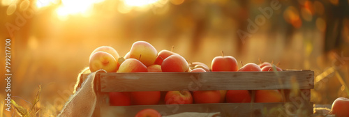 A peaceful morning scene with the first rays of sun casting a golden glow over a crate brimming with ripe, juicy apples, signifying new beginnings photo
