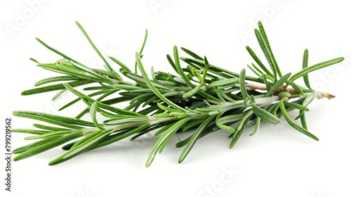 Fresh Rosemary Leaves on White Background Generative AI