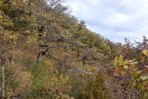 autumn day on the observation deck  mountainous terrain with dried vegetation  panorama of the area
