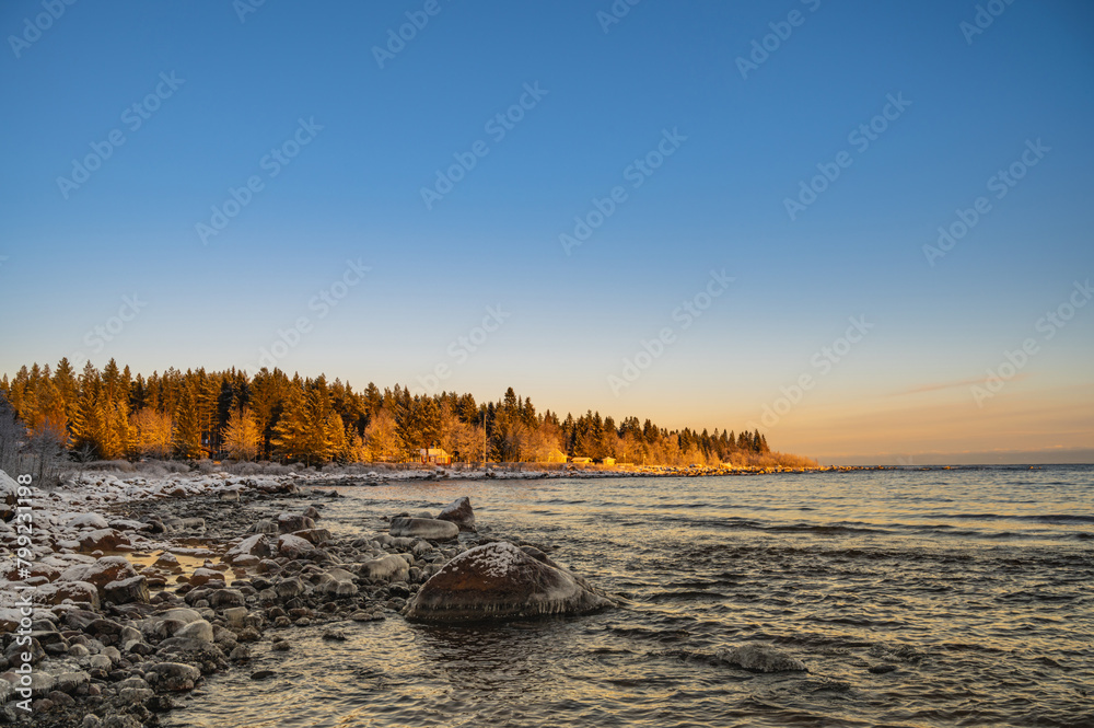 A countryside snowy frozen seashore with sunset through the horizon surrounded by pine trees under the blue sky