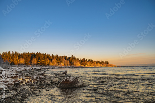 A countryside snowy frozen seashore with sunset through the horizon surrounded by pine trees under the blue sky