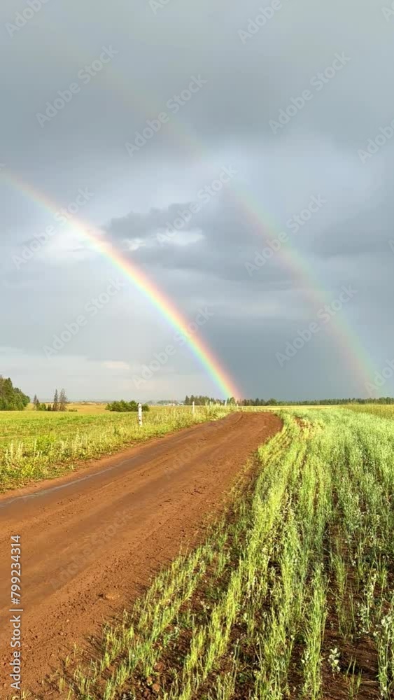 A double rainbow on a rainy spring day. A multicolored rainbow over a floral green field in the Perm Region. A rainbow against a cloudy sky.