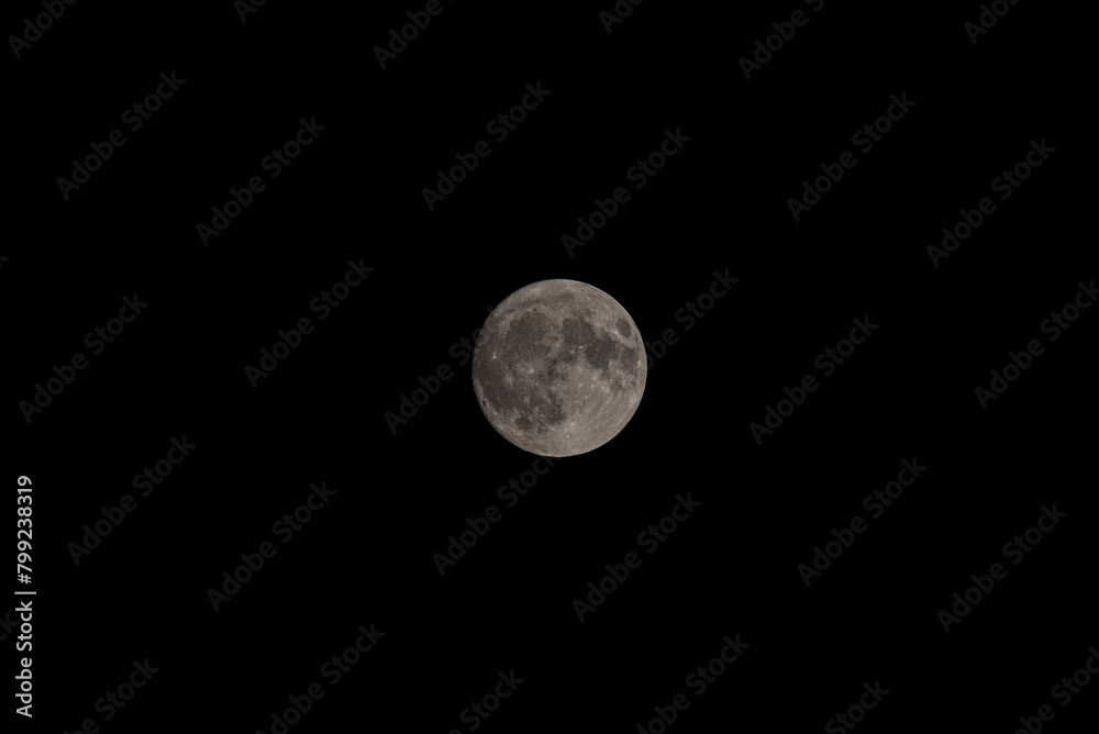 Moonlit Embrace: Telephoto Reverie in Nocturnal Stillness. Moonlit Embrace: Telephoto Reverie in Nocturnal Stillness.
