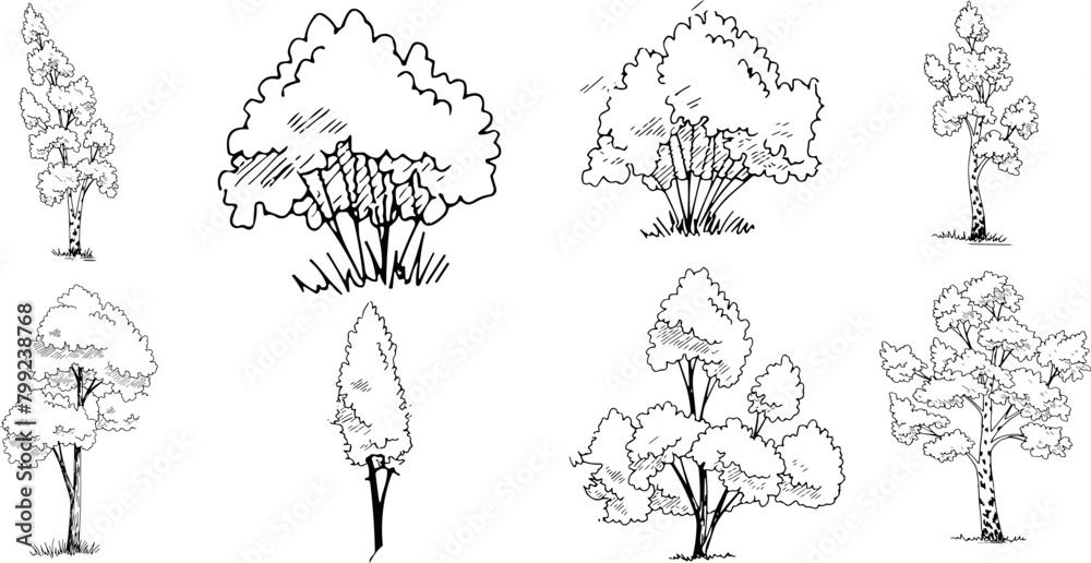Minimal style cad tree line drawing, Side view, set of graphics trees elements outline symbol for architecture and landscape design drawing