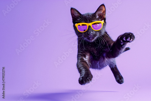 Playful Black Cat with Yellow Glasses on Purple Studio Background