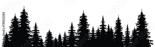 Silhouette of forest and flying birds. Mountainous surface. Beautiful trees (spruce) are separated from each other, Vector illustration. photo
