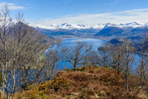 A picturesque view of snow-capped mountains behind the tranquil fjord surrounded by lush springtime woods.