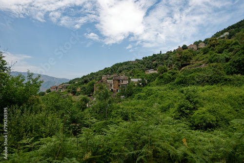 Frankreich - Korsika - Castello-di-Rostino