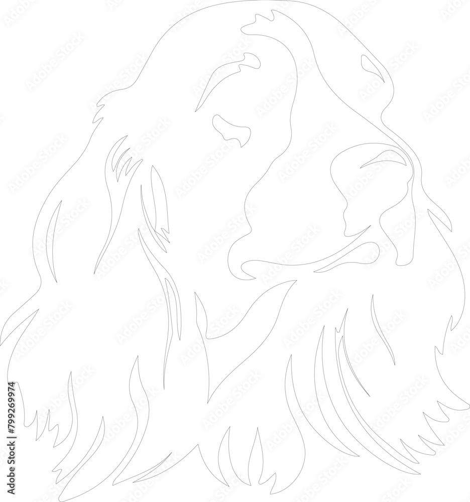 American cocker spaniel outline American cocker spaniel outline