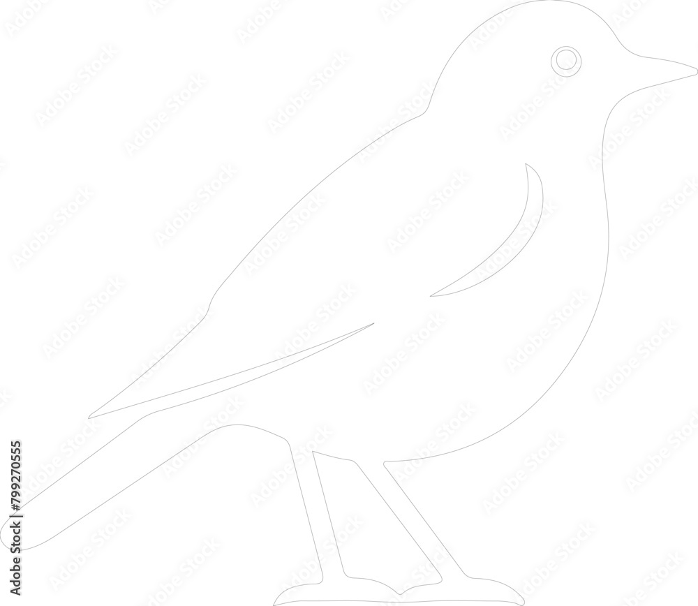 American Robin outline American Robin outline