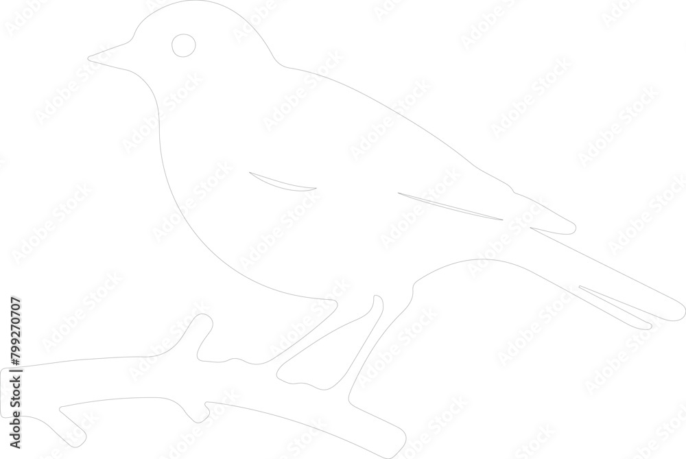 American Robin outline American Robin outline