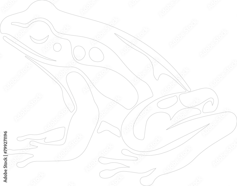 Fototapeta premium amphibian outline