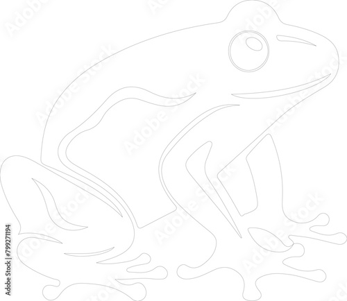 amphibian outline
