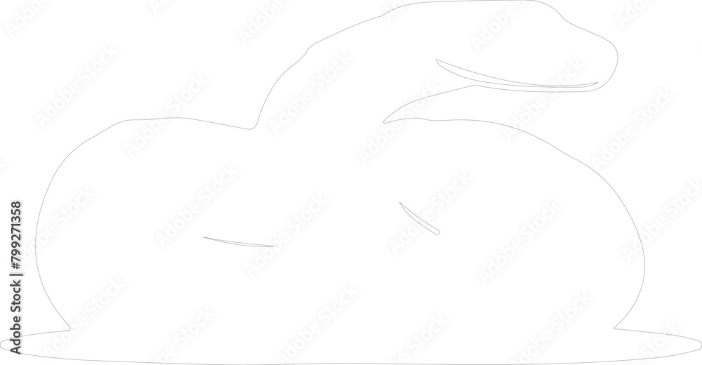 anaconda outline