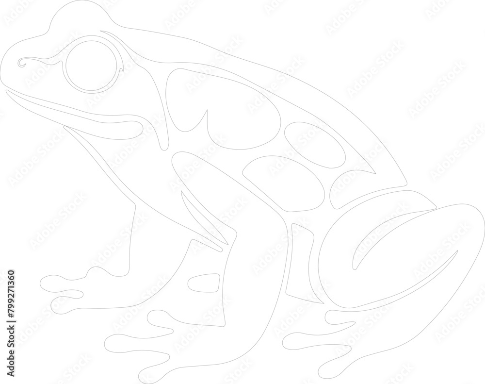Fototapeta premium amphibian outline