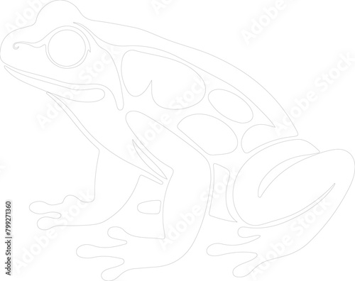 amphibian outline