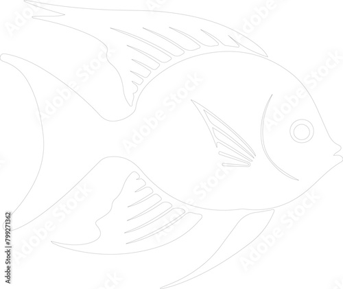 angelfish outline
