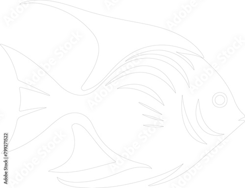 angelfish outline