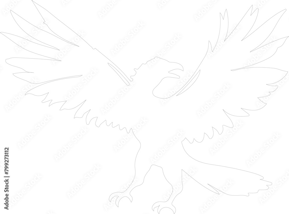 Archaeopteryx outline Archaeopteryx outline