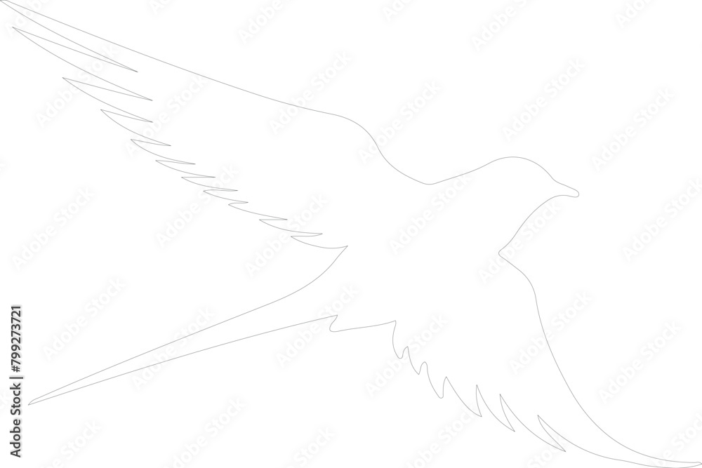 Arctic tern outline Arctic tern outline