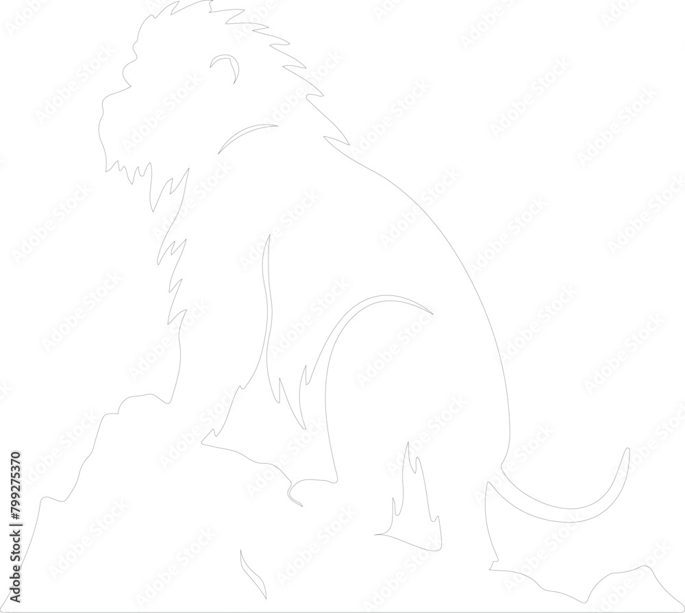 Obraz premium baboon outline
