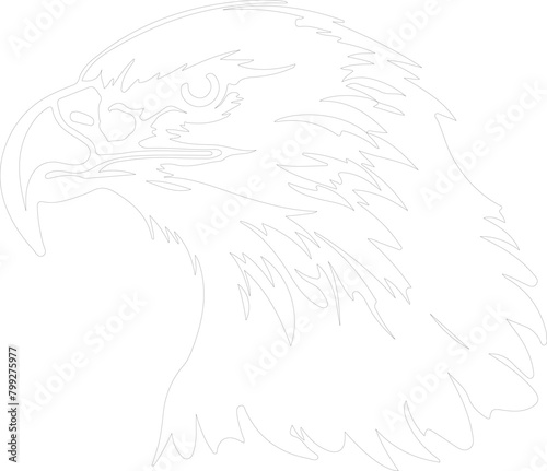 bald eagle outline