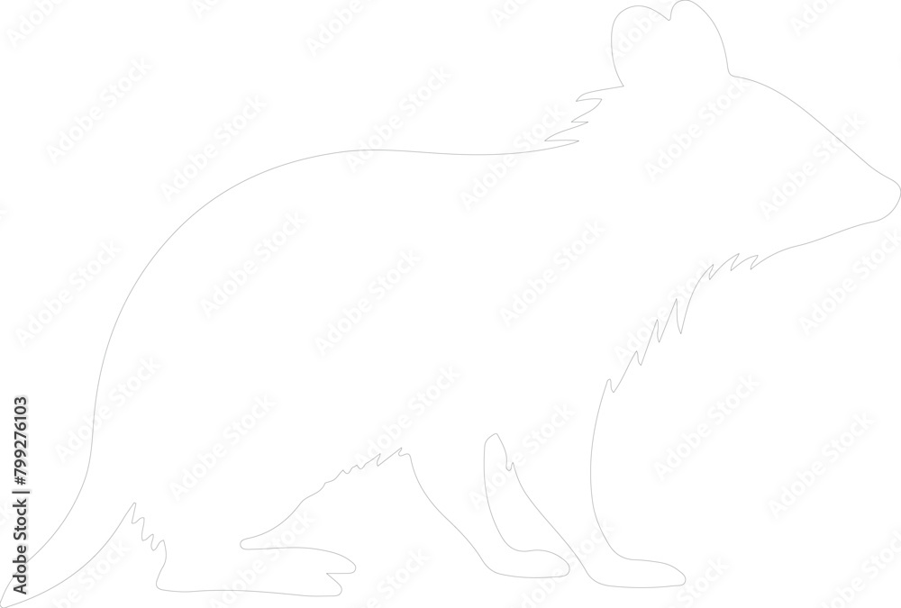 Obraz premium bandicoot outline