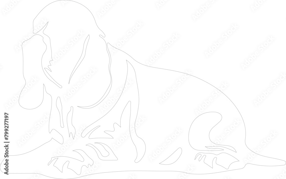 Obraz premium basset hound outline