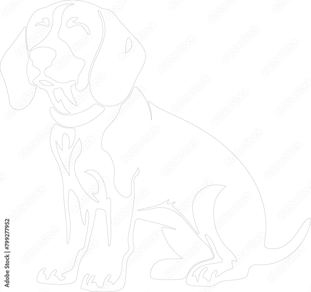 Obraz premium beagle outline