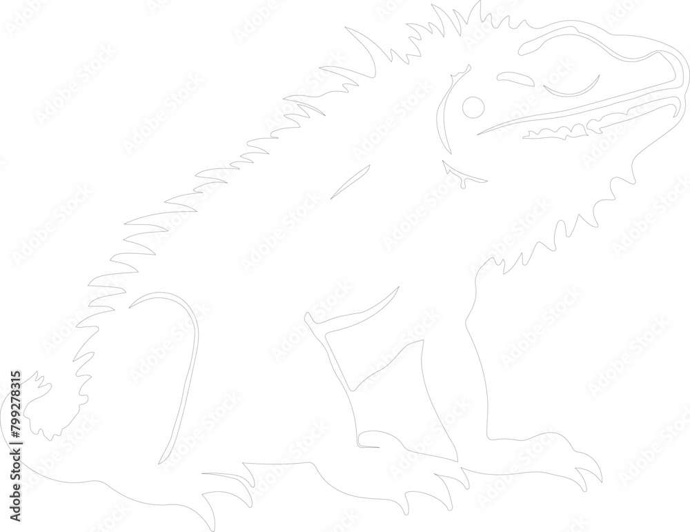 bearded dragon outline