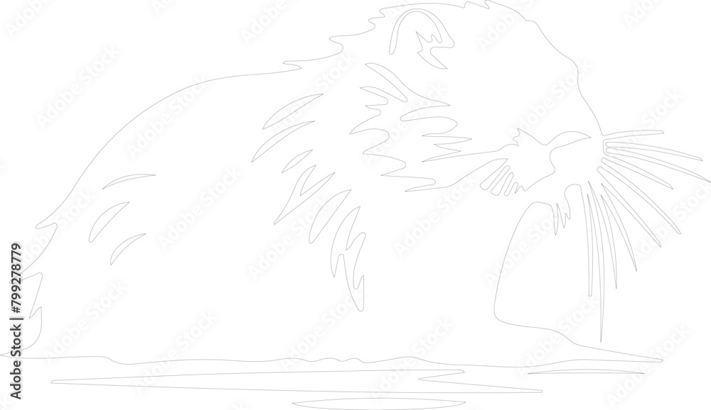 Fototapeta premium beaver outline