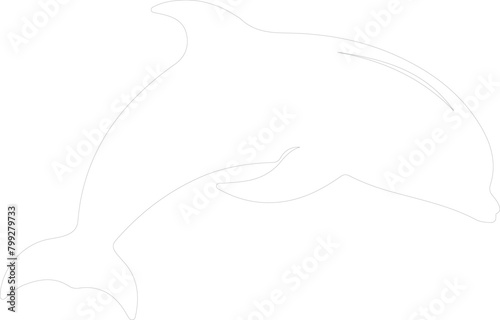 beluga whale outline
