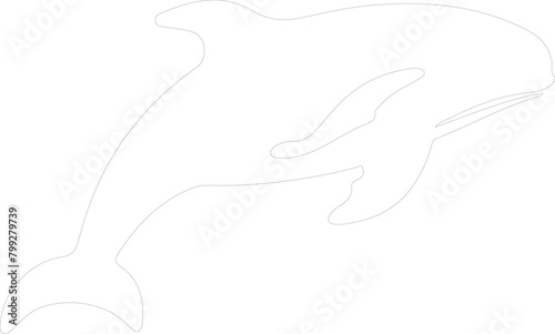 beluga whale outline