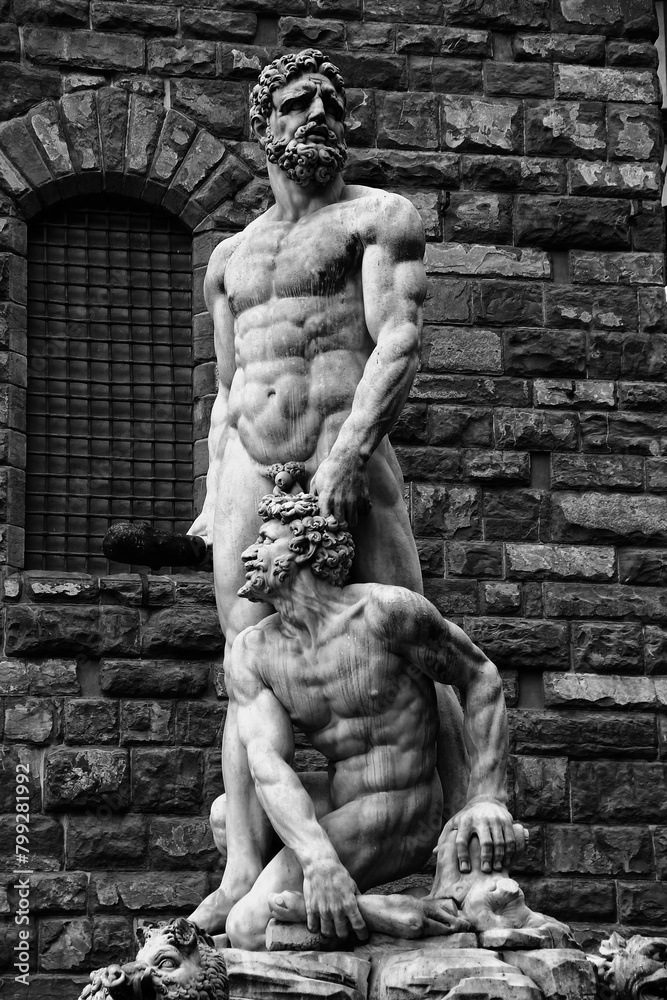 Naklejka premium statues in florence, italy