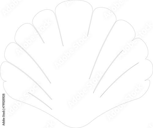 bivalve outline