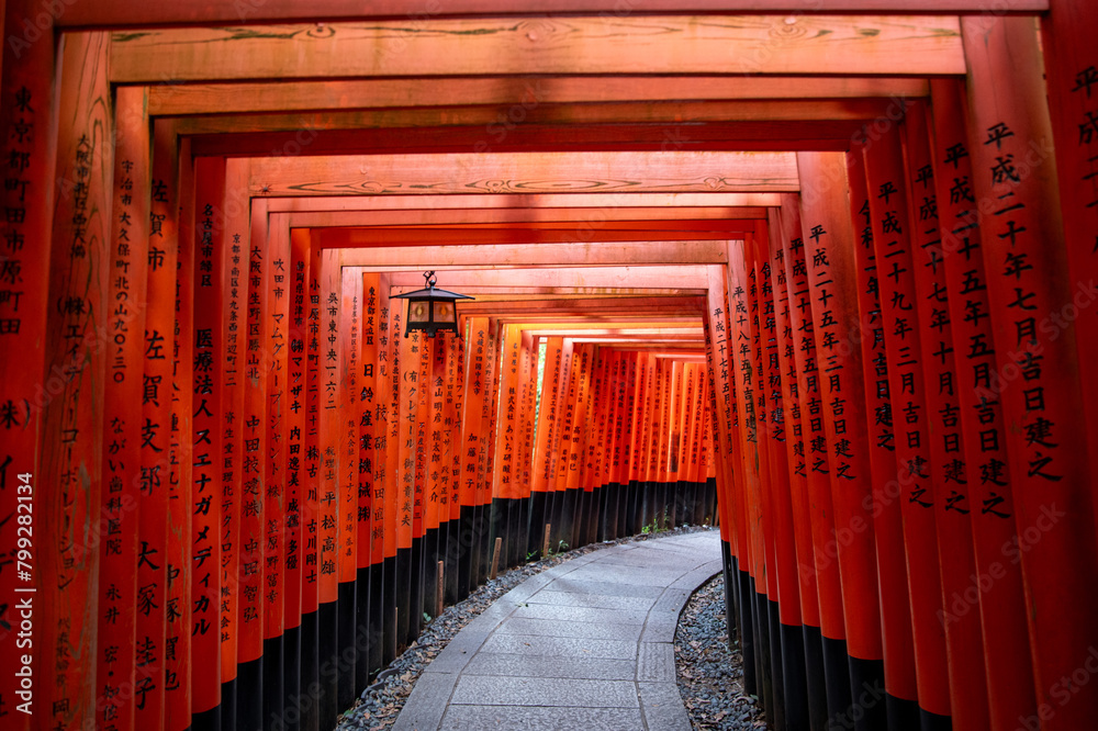 Fototapeta premium Kyoto, Japan