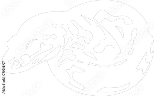 boaconstrictor outline
