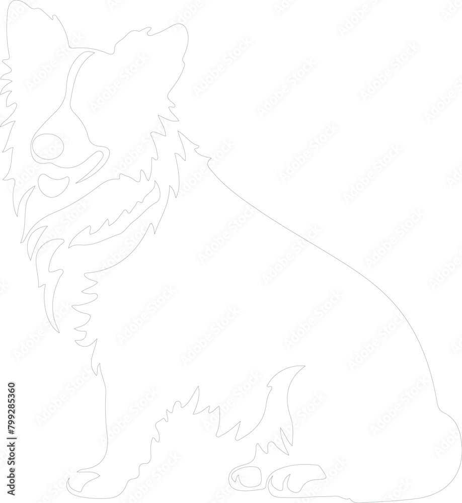 bordercollie outline bordercollie outline