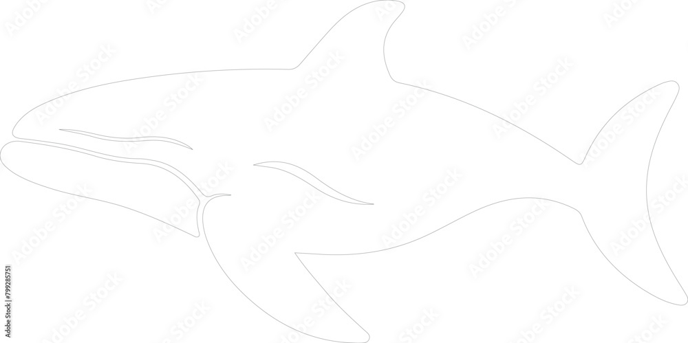 bowheadwhale outline bowheadwhale outline