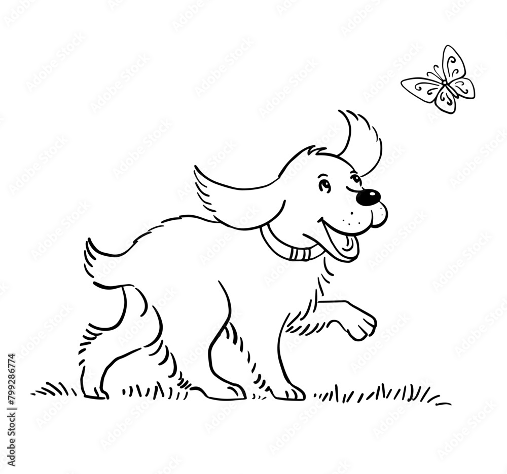 Cheerful dog playing with a butterfly. Cute cocker spaniel with big ears. Funny domestic puppy. Flat vector illustration. Black and white sketch Cheerful dog playing with a butterfly. Cute cocker spaniel with big ears. Funny domestic puppy. Flat vector illustration. Black and white sketch