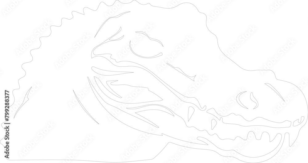 caiman outline caiman outline