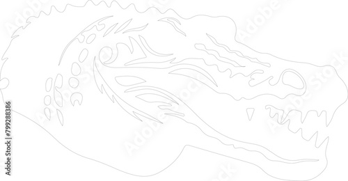 caiman outline © Mappingz