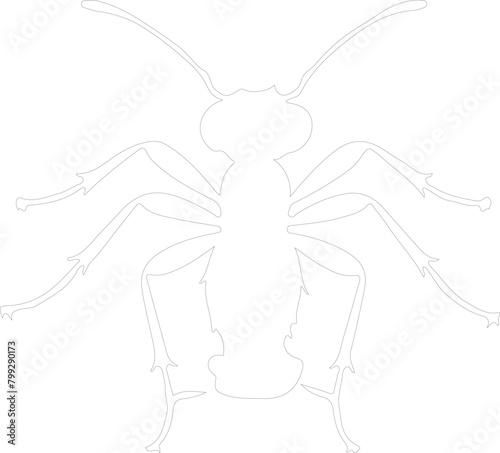 carpenterant outline photo