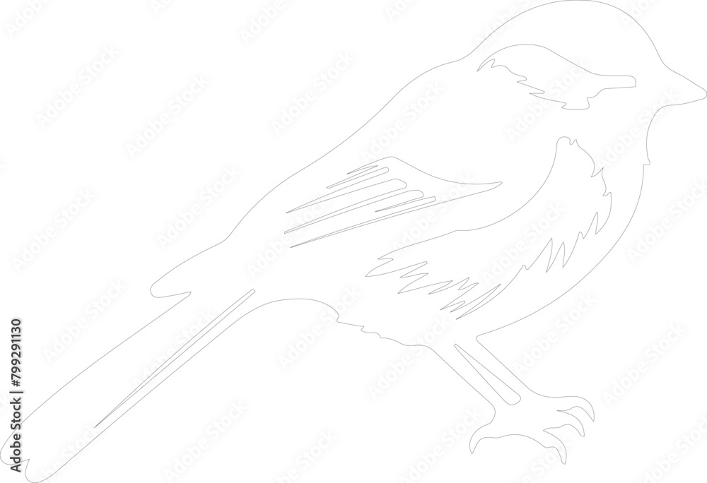 chickadee outline chickadee outline