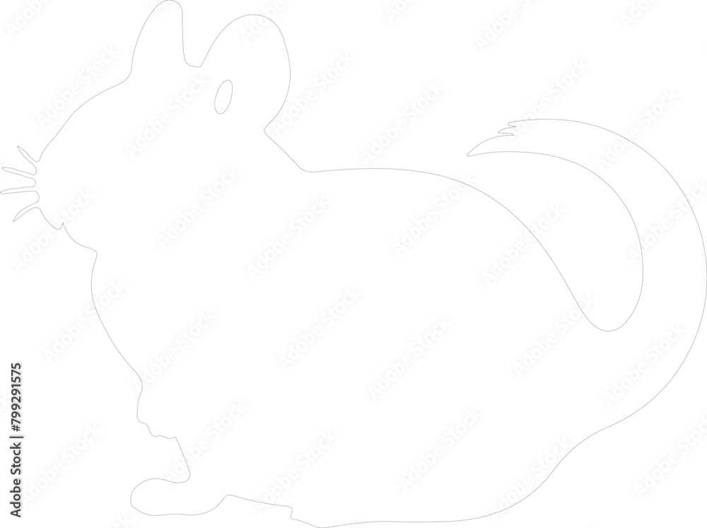 chinchilla outline chinchilla outline