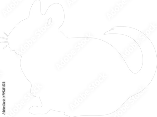 chinchilla outline
