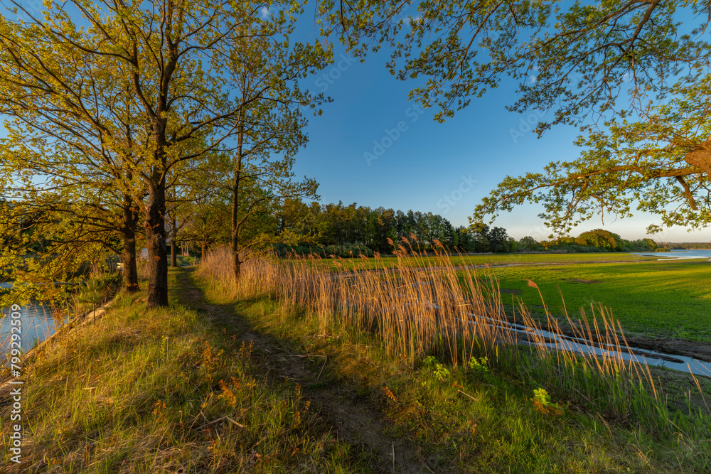 Dam between Bezdrev and Cesnovicky cip pond with spring color sunset with trees Dam between Bezdrev and Cesnovicky cip pond with spring color sunset with trees