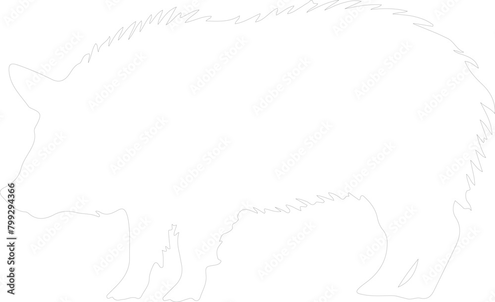collaredpeccary outline collaredpeccary outline