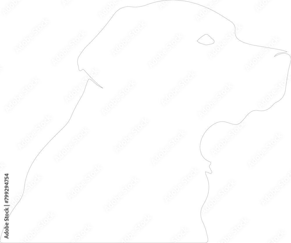 Fototapeta premium companiondog outline